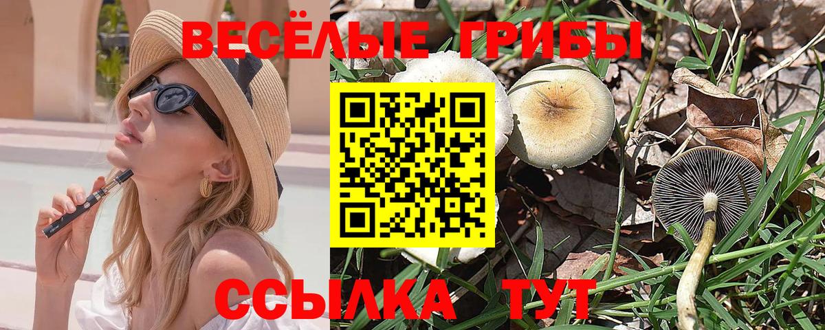 Галлюциногенные грибы ЛСД Кострома