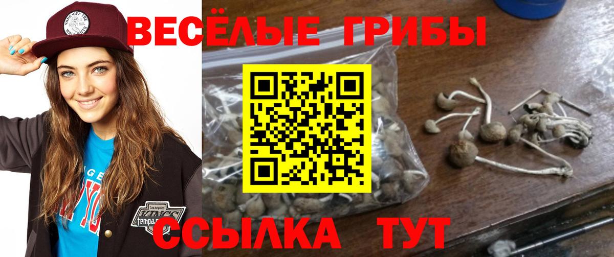 Кострома  Псилоцибиновые грибы GOLDEN TEACHER  Галлюциногенные грибы Magic Shrooms  Вход с VPN 